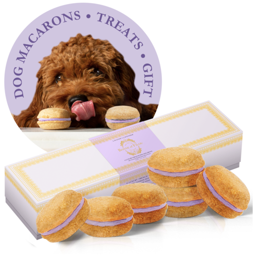 1._Bonne_et_Filou_-_Box_of_6_No_Window_with_dog_-_Lavender_3D_Macarons_In_Front_aa421bf5-e077-4053-96e3-efae9c6cee85.png Dog Macarons - Box of 6