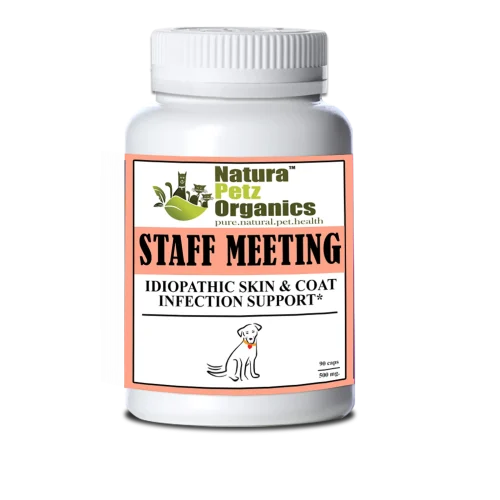 1683-STAFFMEETDOG90.0.td_size_1 Staff Meeting* Idiopathic Skin & Coat Infection* Support For Dogs And Cats*