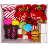 2.Valentine_sDogTreatsBox_open-notwrapped.png Love My Dog Themed Treats Box
