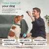 Calming Chews for Dogs Anxiety Relief