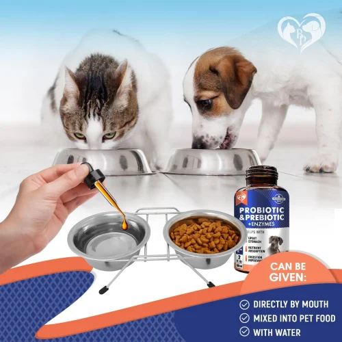 3145-9ZZUA0XPC.3.td_size_1 Probiotics & Prebiotics with Enzymes for Dogs and Cats