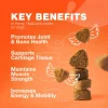 Hip & Joint Health Supplement