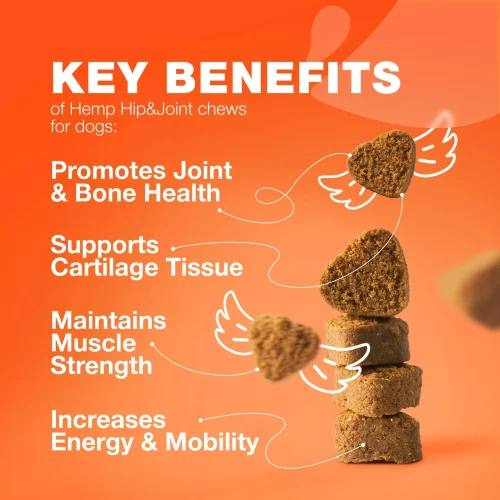Hip & Joint Health Supplement