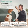 Calming Chews for Dogs