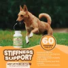 Collagen for Dogs & Cats