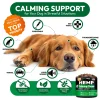 3145-RJE4QKIPA.3.td_size_1 Hemp Calming Chews for Dogs