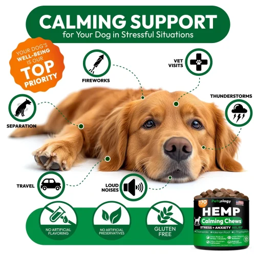 3145-RJE4QKIPA.3.td_size_1 Hemp Calming Chews for Dogs