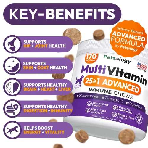3145-THIGY9NQ8.1.td_size_1 Multivitamin Chewable Dog Vitamins and Supplement