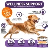 3145-THIGY9NQ8.3.td_size_1 Multivitamin Chewable Dog Vitamins and Supplement