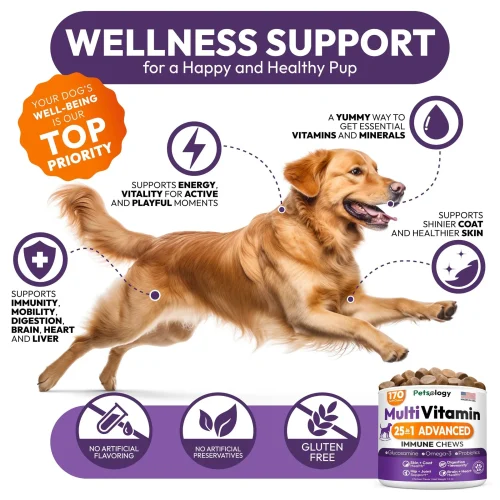 3145-THIGY9NQ8.3.td_size_1 Multivitamin Chewable Dog Vitamins and Supplement