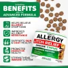 2 Pack Dog Allergy Relief Chews
