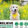 2 Pack Dog Allergy Relief Chews