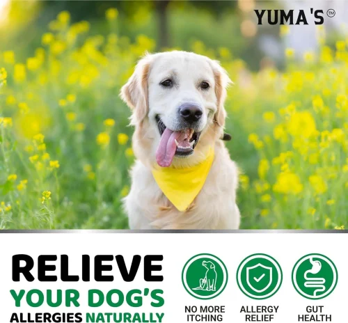 2 Pack Dog Allergy Relief Chews