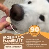 3145-Y338MQ84B.2.td_size_1 Joint Supplement for Dogs