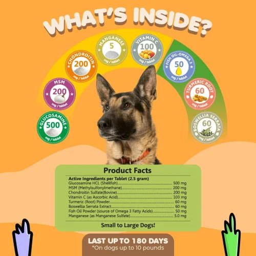 3145-Y338MQ84B.4.td_size_1 Joint Supplement for Dogs