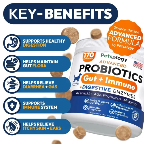 3145-ZSZ70JUT1.1.td_size_1 Probiotics for Dogs