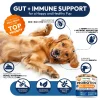 3145-ZSZ70JUT1.3.td_size_1 Probiotics for Dogs