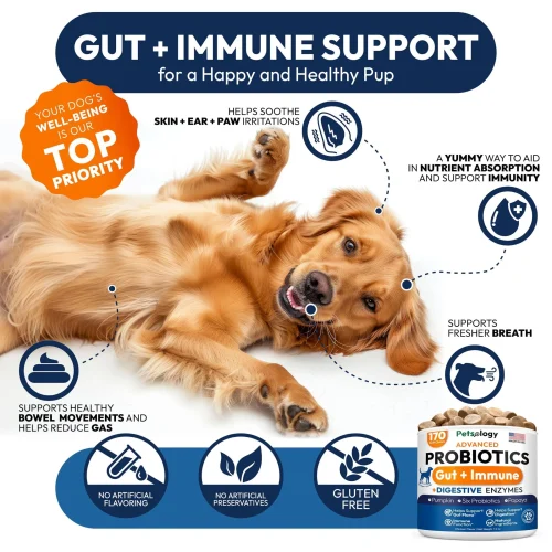 3145-ZSZ70JUT1.3.td_size_1 Probiotics for Dogs