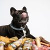 Dog Treats Cheese & Lamb chew (BOX)