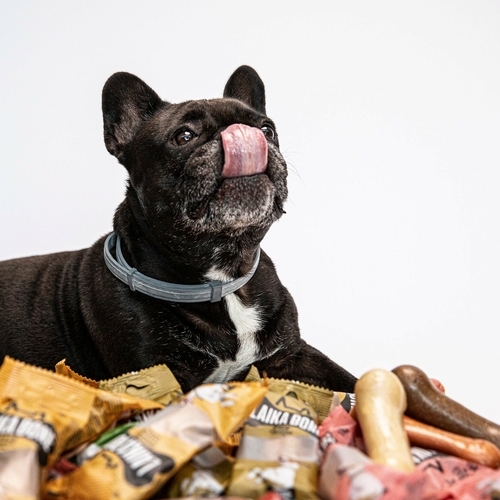 Dog Treats Cheese & Lamb chew (BOX)