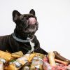 7abcf1_d18b2a55fca44bd68f05d44ce10dcf48_mv2_9f6b3922-9ab1-48db-bbca-089be1ad77bd.jpg Dog treats Cheese & Ham/Bacon chew (BOX)