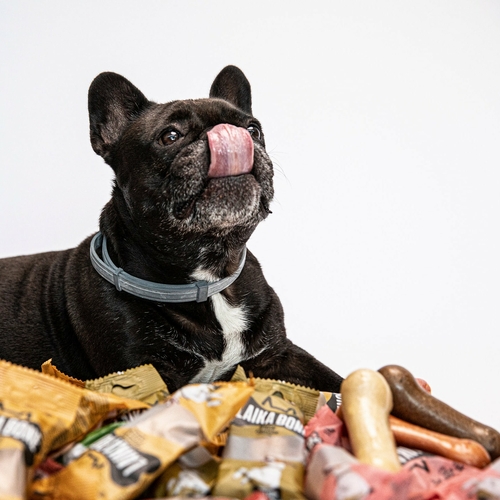 7abcf1_d18b2a55fca44bd68f05d44ce10dcf48_mv2_9f6b3922-9ab1-48db-bbca-089be1ad77bd.jpg Dog treats Cheese & Ham/Bacon chew (BOX)