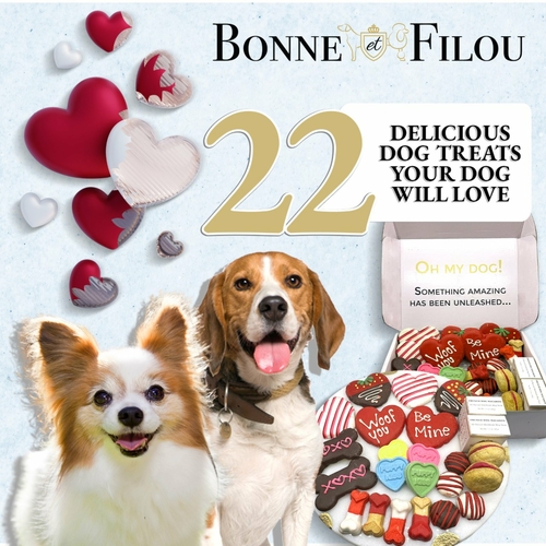 thumbnail_011023BOFIValentinesDayBox1.jpg Love My Dog Themed Treats Box